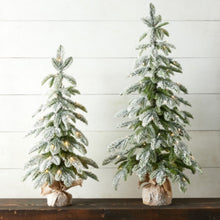 Load image into Gallery viewer, 4422671 - 36&quot; Flocked Lighted Pine Tree in Bag (Copy) (7360718471234)