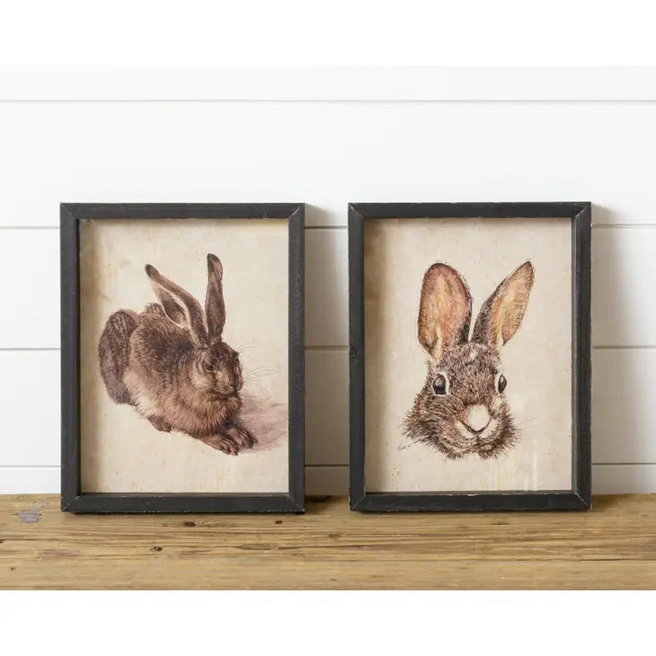 Vintage Framed Rabbit Prints Set of 2 (7049631662146)