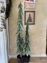 Load image into Gallery viewer, ST212059 - 47.25&quot; Pencil Tree with Black Pot (7021405208642)