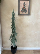 Load image into Gallery viewer, ST212059 - 47.25&quot; Pencil Tree with Black Pot (7021405208642)