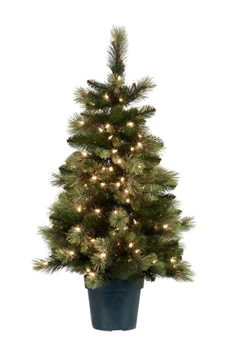 Carolina Pine 4 foot Potted Christmas Tree Pre Lit - NATCP4P (6954429710402)