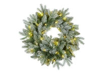 Load image into Gallery viewer, Frosted Mulberry Wreath Pre Lit 122cm - NATFM122WT (6954429644866)