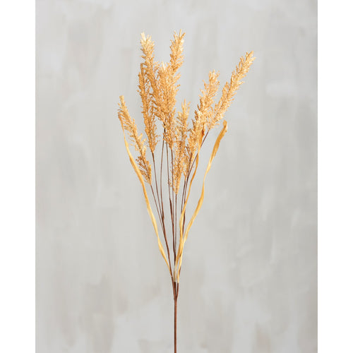 105344 - Pick Tan Fall Grass (6840187945026)