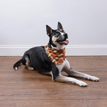Load image into Gallery viewer, 111525 - Pet Bandana Set - FALL PLAID - small (6840175001666)