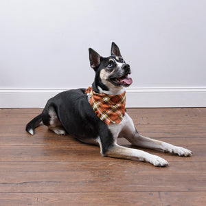 111525 - Pet Bandana Set - FALL PLAID - small (6840175001666)