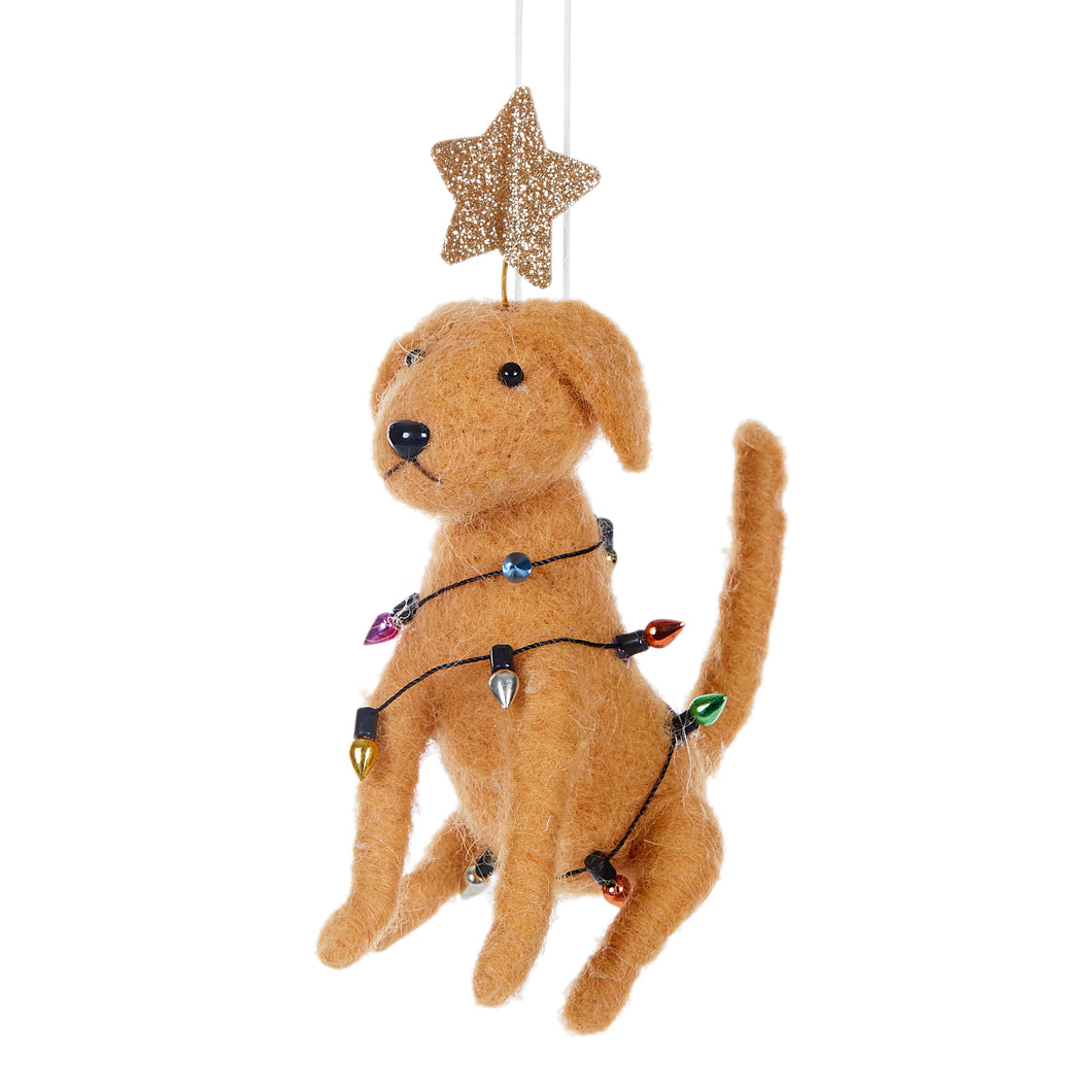 Wool Labrador with Lights (6643198066754)