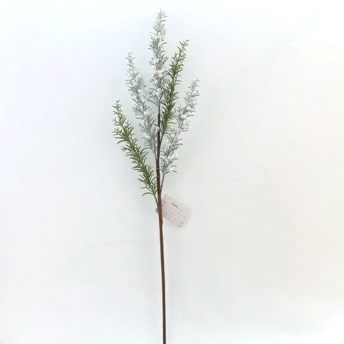 21002 - Rosemary Pick (6683657109570)