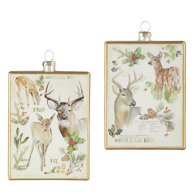 4224632 Wildlife Deer Ornament -2 Assorted (6806924787778)