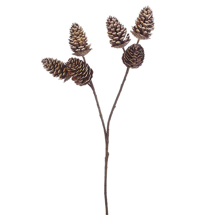 mixed pine  12 pine cone pick – Campbells2