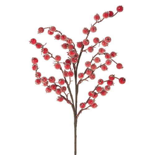 F4106757 - Iced Berry Spray (6838437380162)