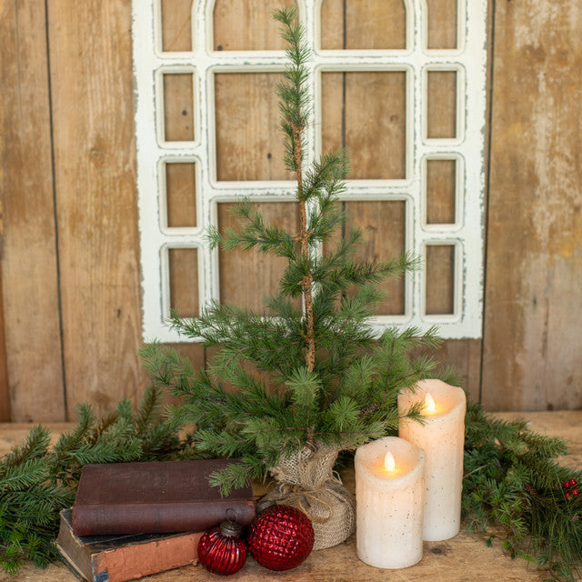 G26743 - 2' Pine Tree with Burlap Base (6864821747778)