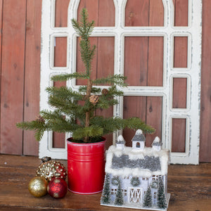 HH195646 - 18.5" Red Potted Pine Tree with Cones (6864032825410)