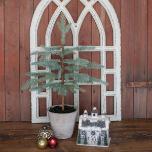HH195681 - 24.5" Potted Blue Spruce Tree (6864033415234)