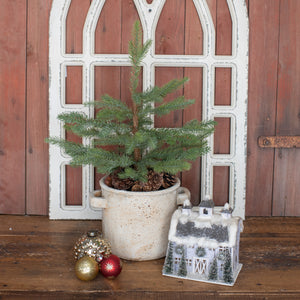 HH195698 - 21" Pine Tree in Ceramic Pot with Handles (6864033710146)