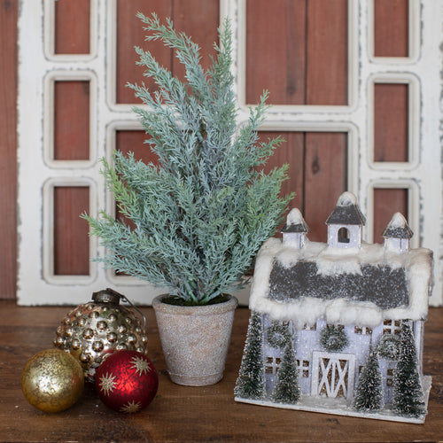 HH195723 - 13' Potted Blue Spruce Tree (6864034136130)