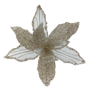 JXG126 - Ivory Poinsettia (6810589298754)