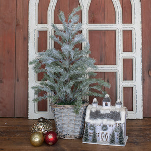 ST198112 - 20.5" Icy Pine in Basket (6866274156610)