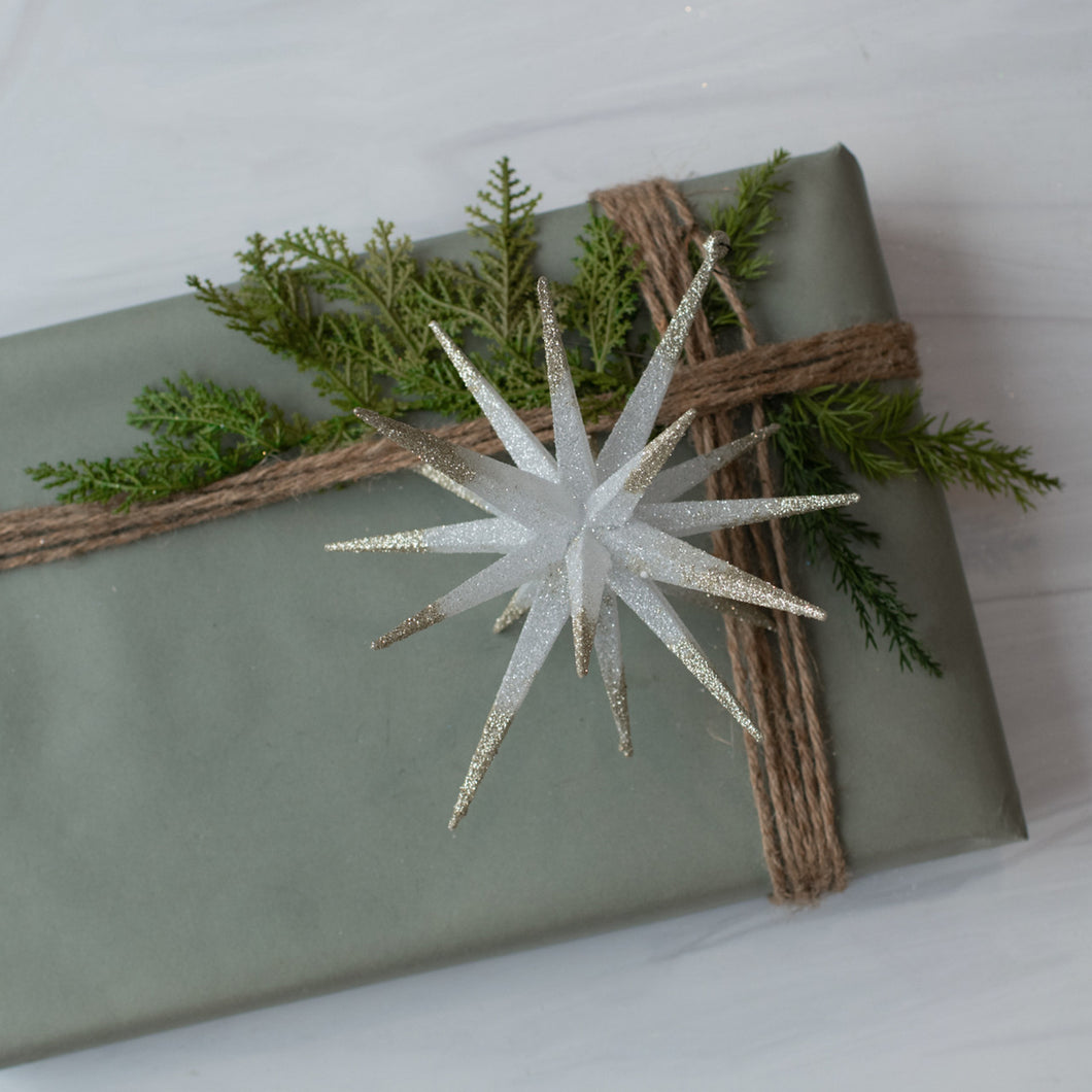 WS202170 - Spiked Star Ornament Silver (6863643672642)