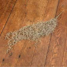 Load image into Gallery viewer, G32846 - 37&quot; Spanish Moss Bush (6695559725122)