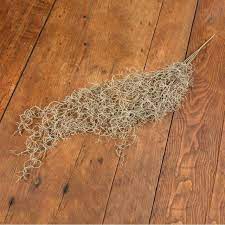 G32846 - 37" Spanish Moss Bush (6695559725122)