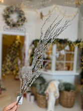 Load image into Gallery viewer, F3900009 - 40&quot; Glitter Spray (6639134769218) (7553203732546)