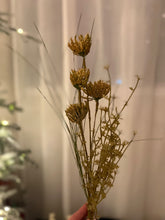 Load image into Gallery viewer, 105342 - Pick Mixed Floral Tan (6840204197954)